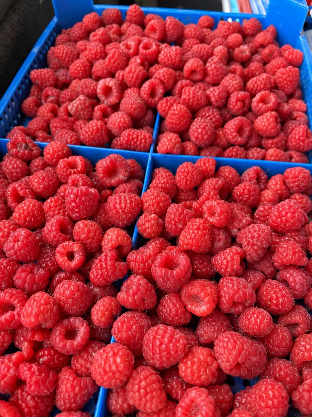 Freshly picked raspberries