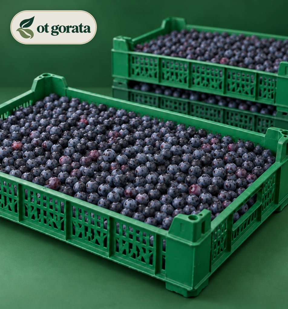 Fresh Forest Blueberries