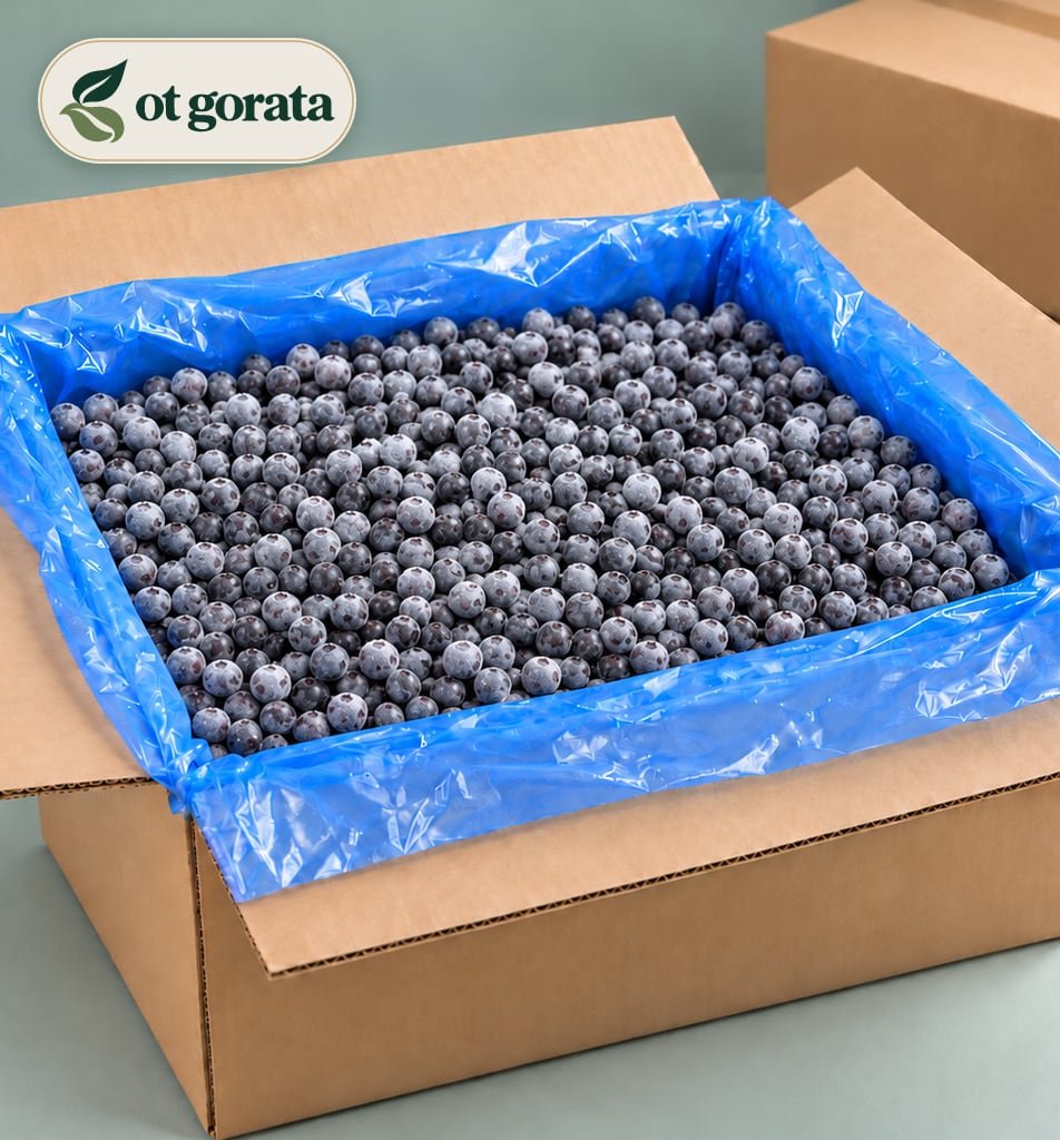 Frozen Forest Blueberries