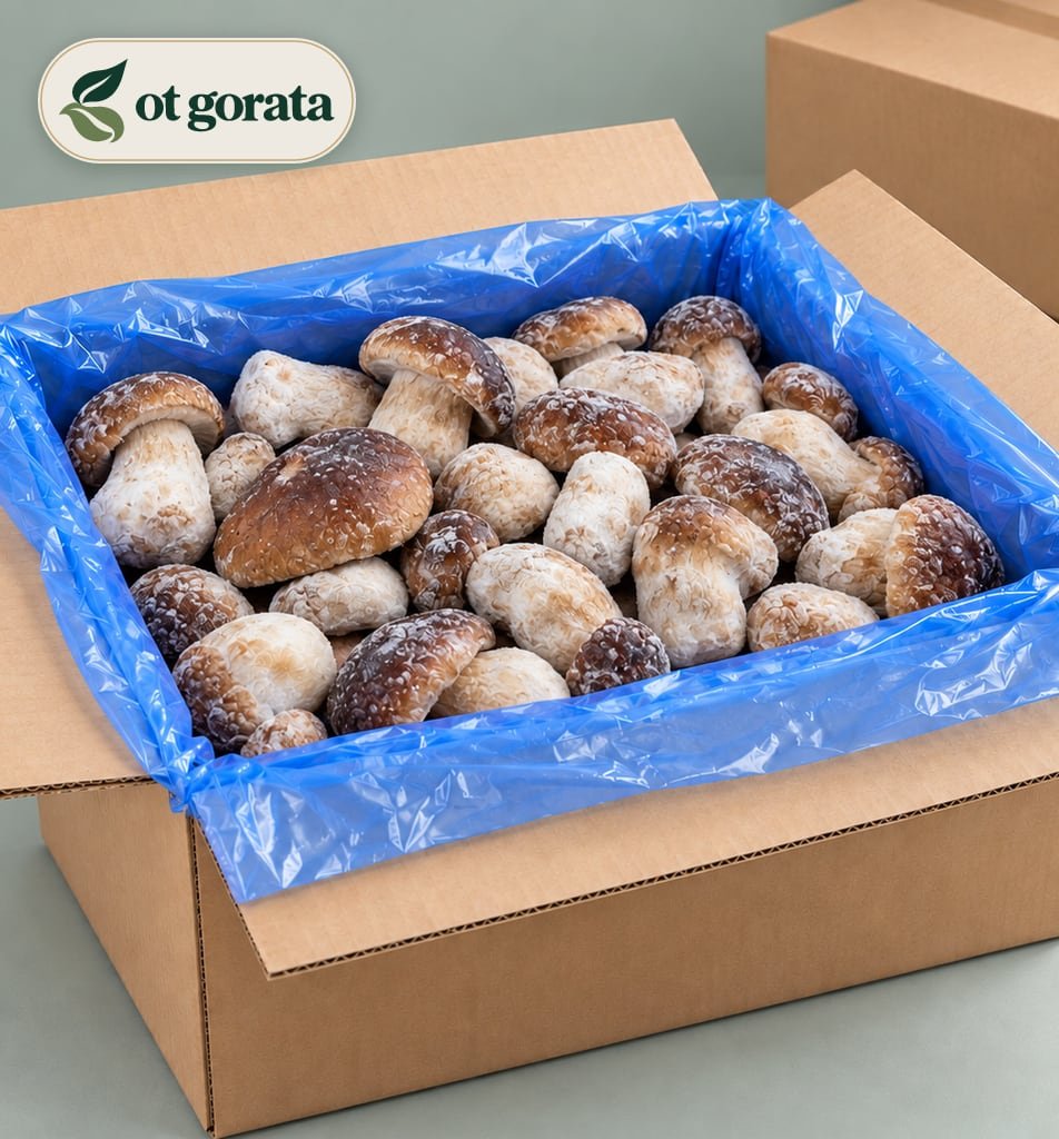Frozen Whole Porcini